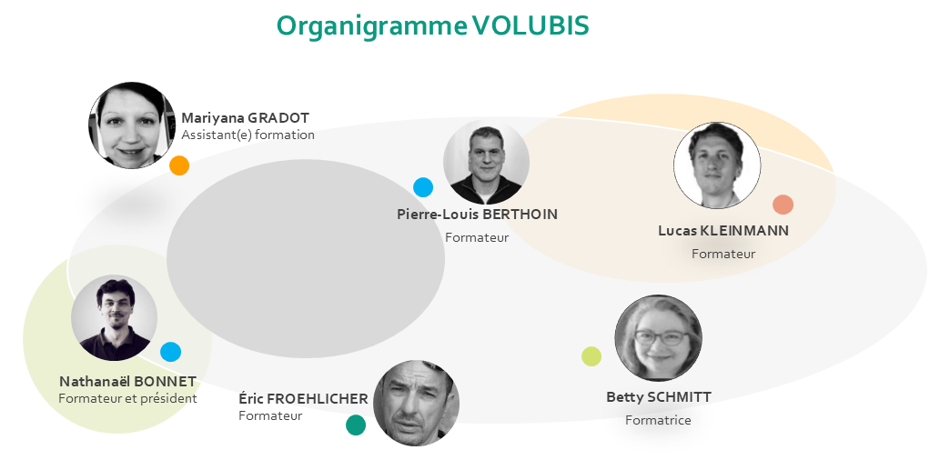 Organigramme Volubis
